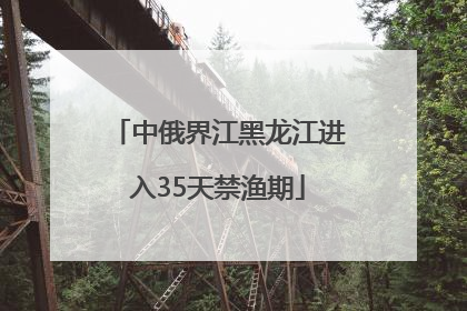 中俄界江黑龙江进入35天禁渔期